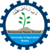 MNS